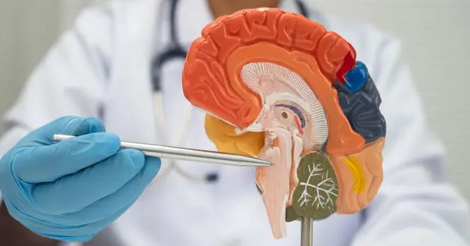 Neurologist Identifies Three Habits to Avoid for Stroke Prevention