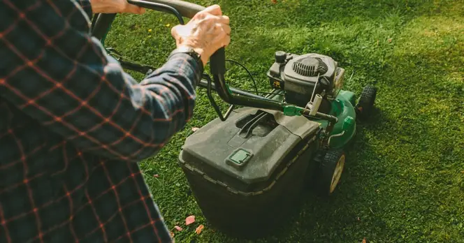Aldi Introduces Affordable Gardening Tool, £80 Cheaper Than Argos Alternative