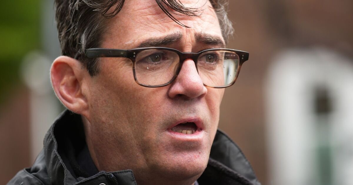 Andy Burnham Raises Concerns Over Labour Party's Internal Strife and Leadership Challenges