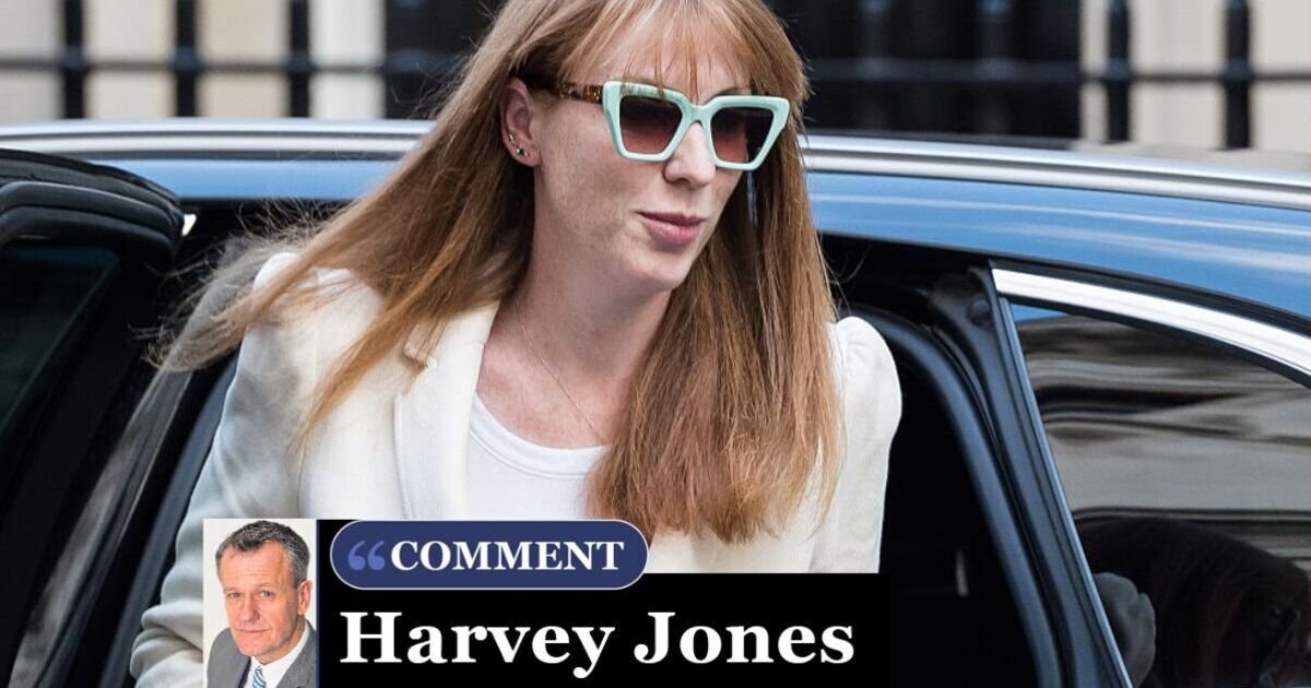 Rayner's Leadership Aspirations Questioned Amid Concerns Over Readiness for Power