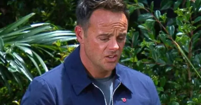 Ant McPartlin Labels I'm A Celebrity Production a 'F***ing Mess' Amid Chaos