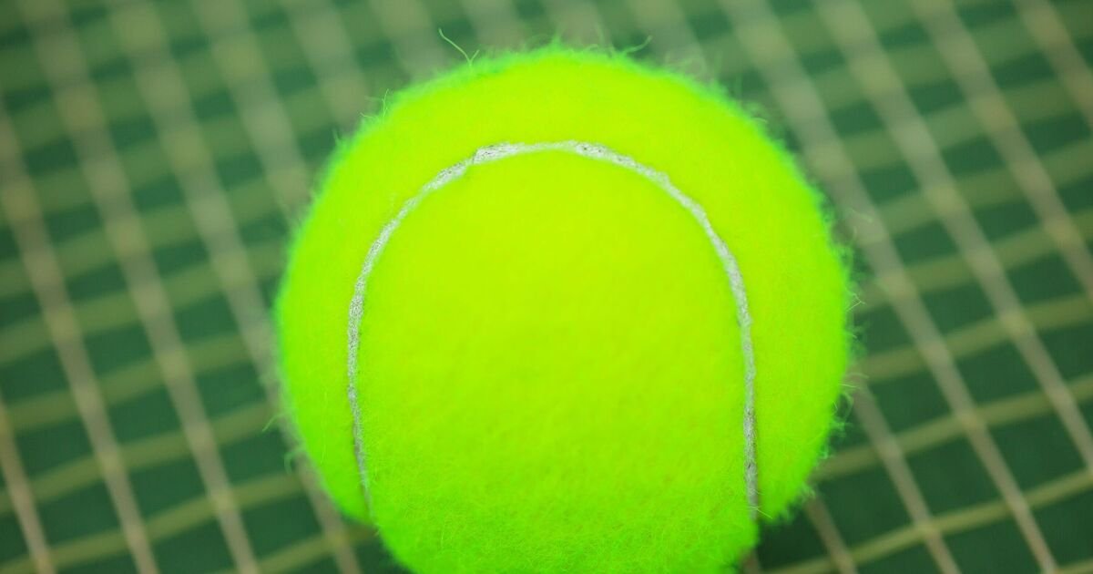 Passengers Advised to Pack Tennis Balls for Flight Comfort