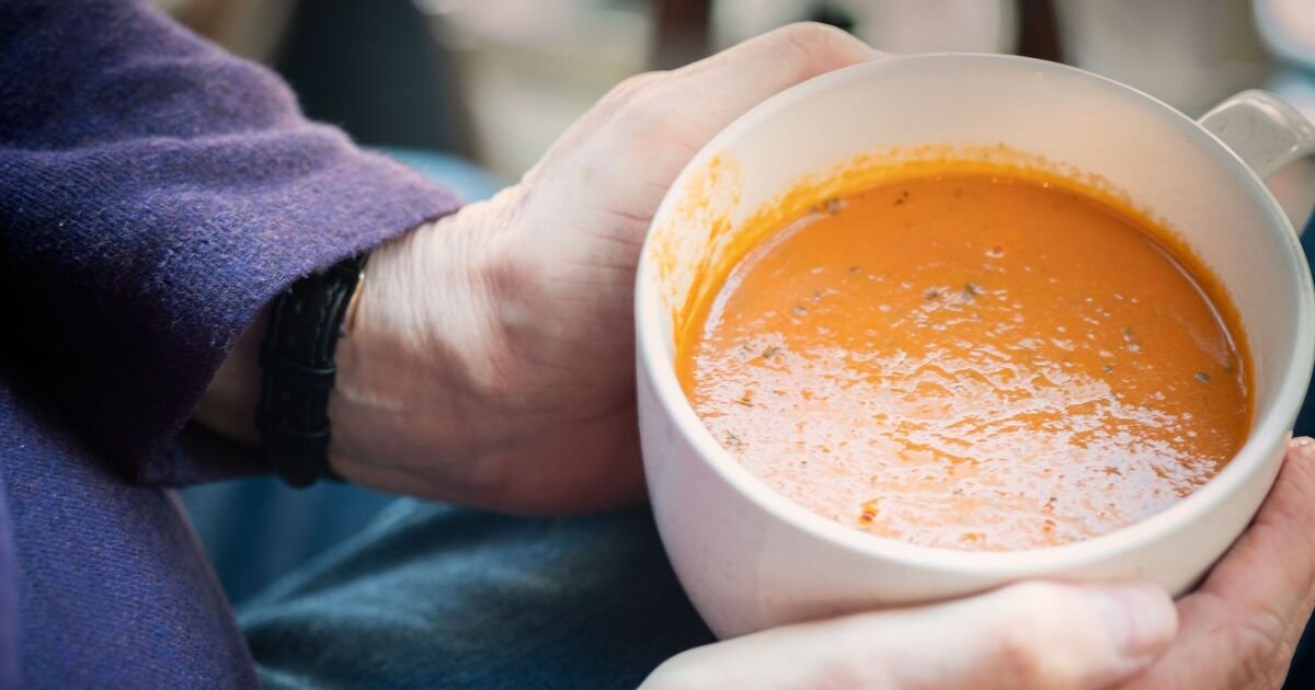 Winter Meal Guidance Issued for Over-55s Amid Snow and Ice Warnings