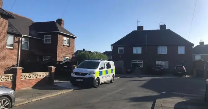 Baby Girl Dies After Dog Attack in Redcar, Community Left in Shock