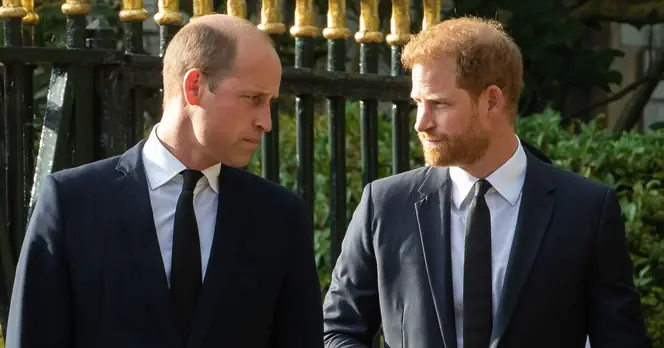 Royal Fans Doubt Reconciliation Between Prince Harry and Prince William