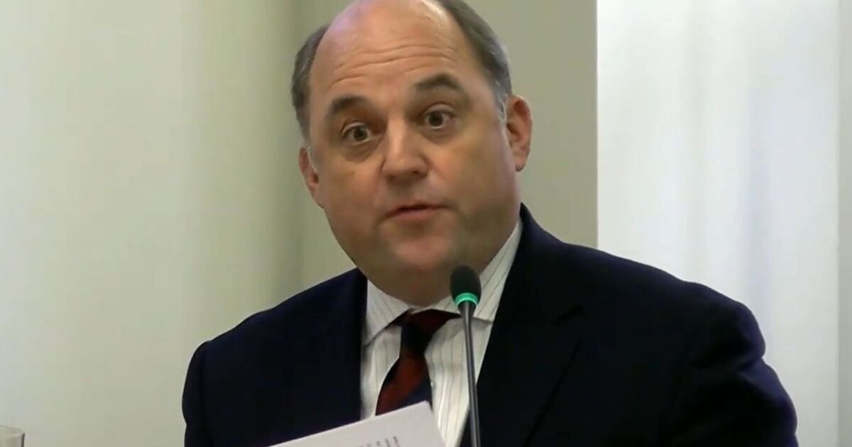 Wallace Criticised for Misplaced Attacks on Reform UK Amid Immigration Crisis