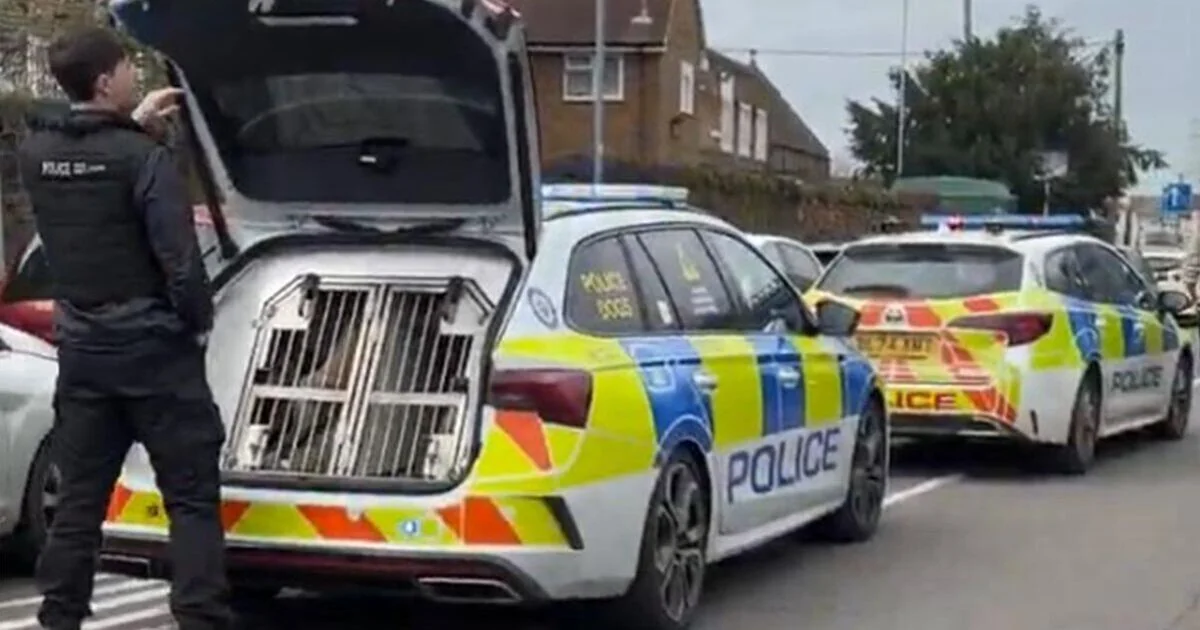 Armed Police Respond to Stabbing Incident Near Birmingham School