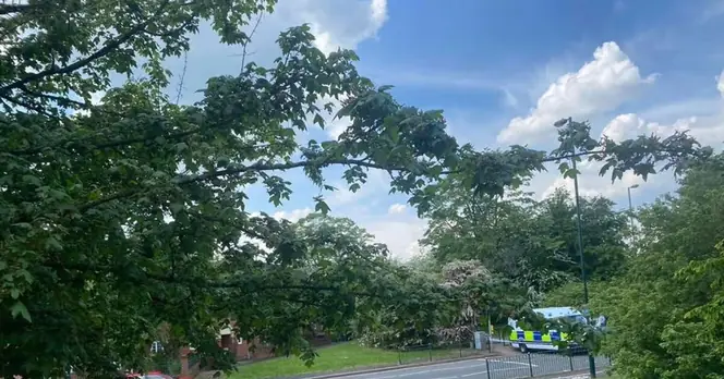 Armed Police Respond to Serious Incident in Birmingham's Northfield Area