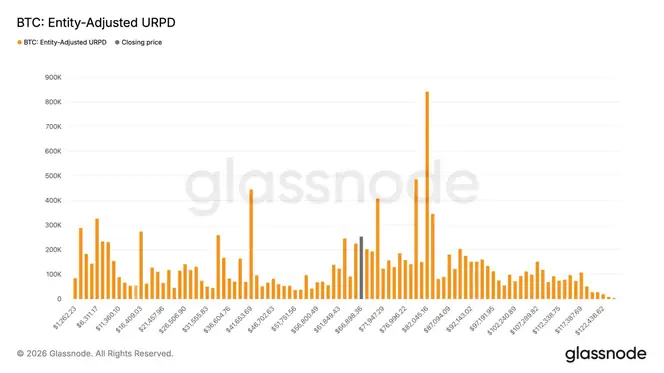Bitcoin Investors Acquire Over 250,000 BTC Amidst Price Surge