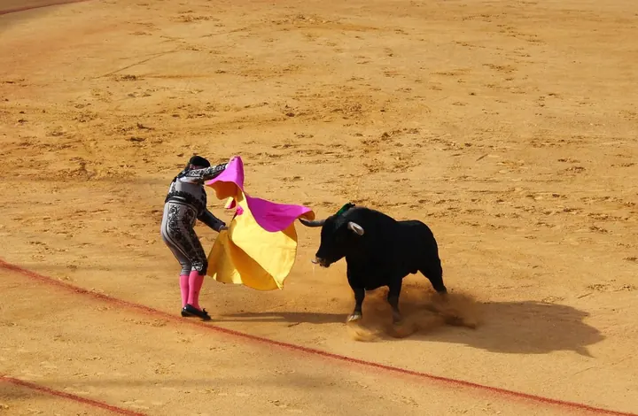 Bitcoin Surge to $71,000 Fuels Crypto Market Recovery Amid $550 Million Liquidation