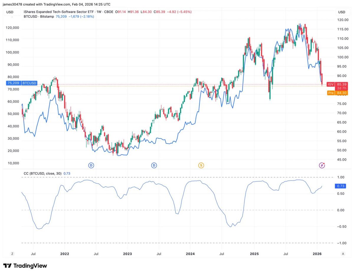 Bitcoin's Correlation with Struggling Software Stocks Raises Investor Concerns
