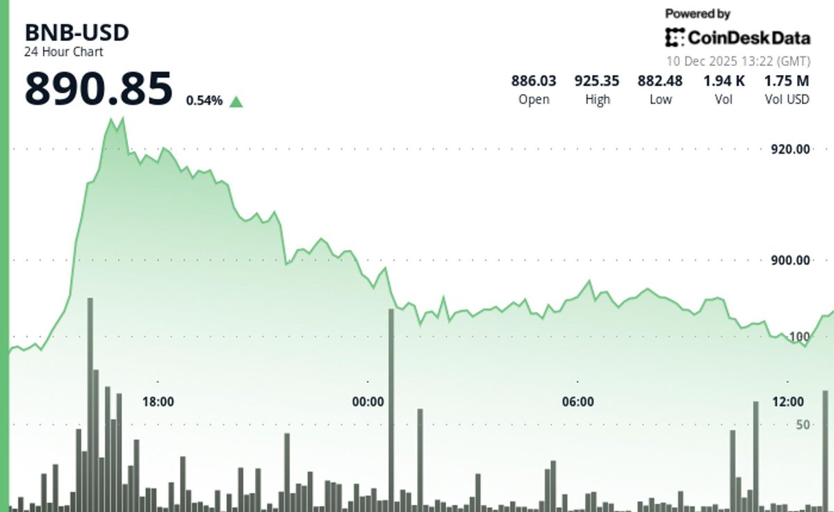 BNB Underperforms as Trading Volume Rises Amid Market Rally