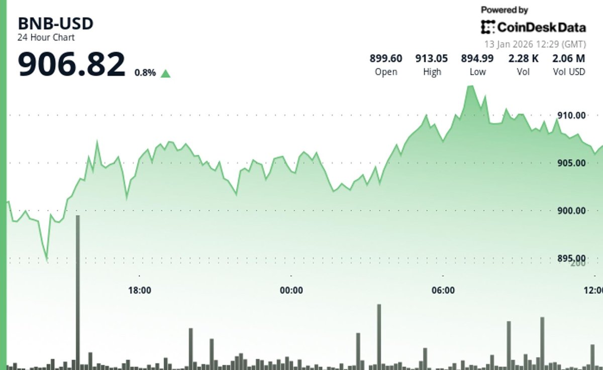BNB Holds Above $900 Amid Minor Gains but Faces Resistance Challenges