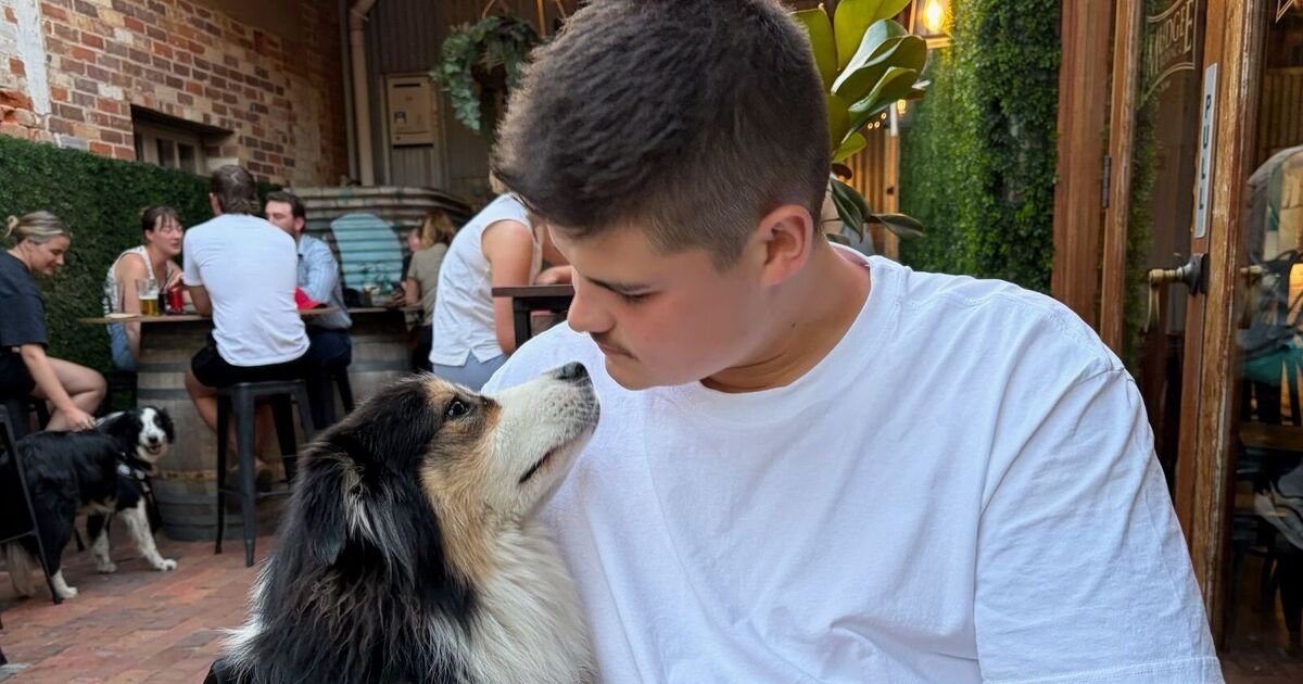 Bondi Beach Officer Shot in Head, Left Blind After Terror Incident