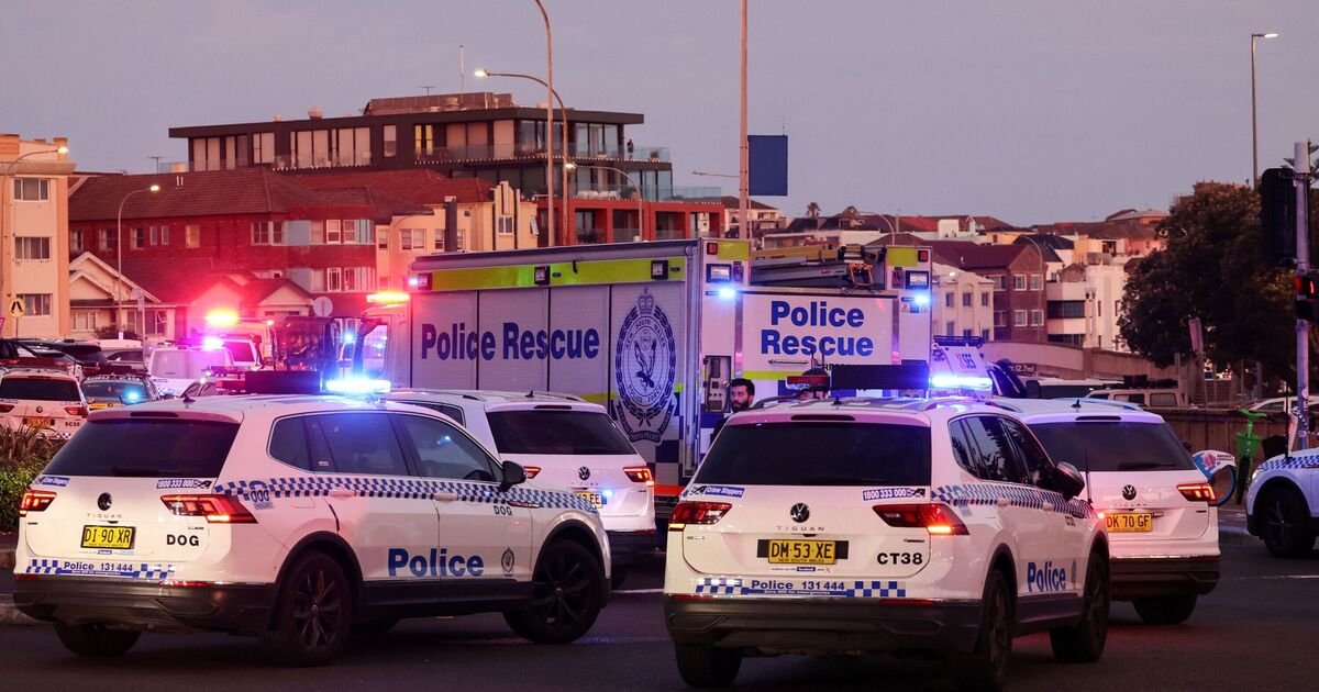 Gunman Identified in Ongoing Investigation into Recent Incident