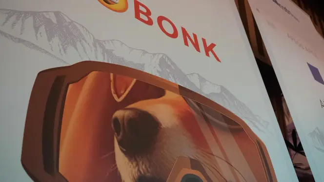 BONK Faces $20 Million Treasury Risk After Malicious Proposal Approval