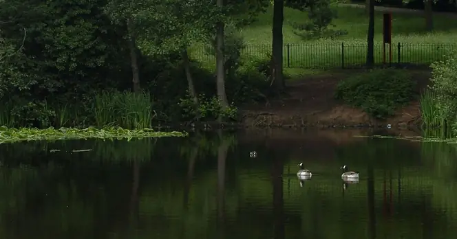 Four-Year-Old Boy Reported Missing Near Cradley Heath Pond, Investigation Underway
