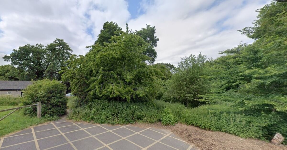 Boy Stabbed to Death in Guildford, Police Seek Witnesses