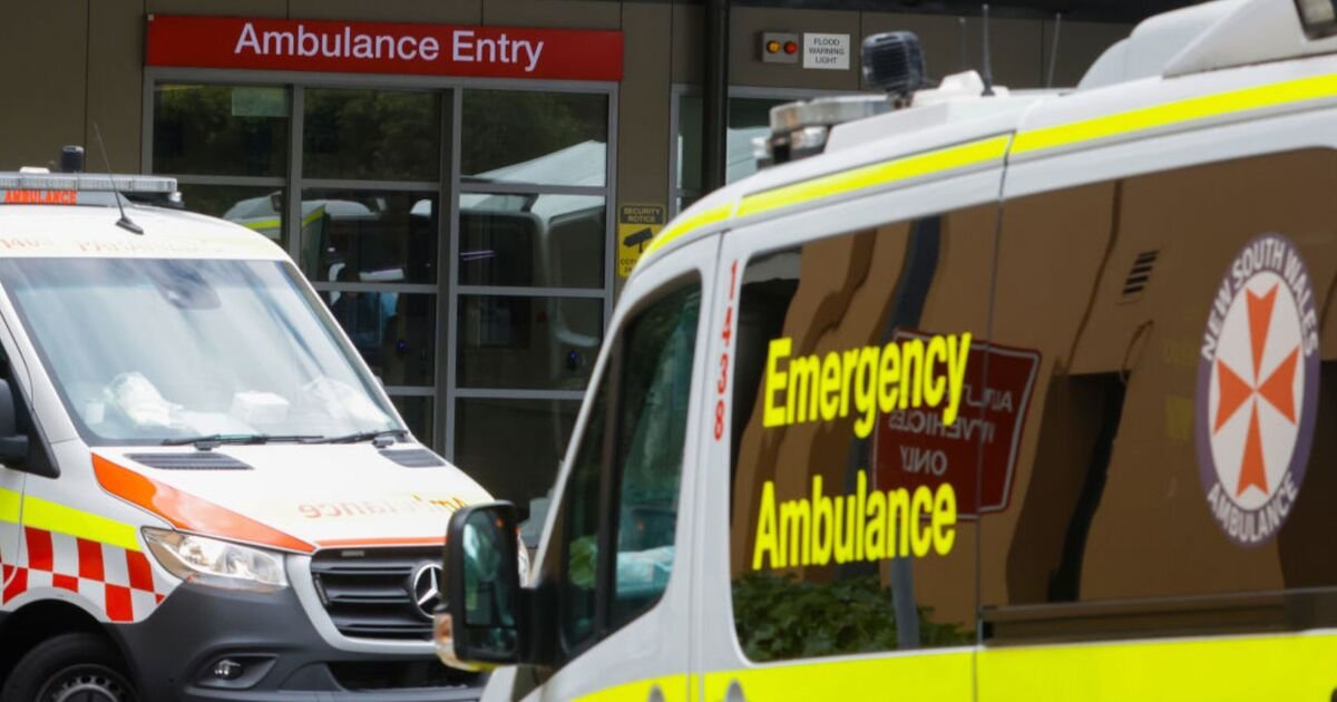 T L Swan's Recovery Journey: How an Unexpected Encounter with a Doctor Inspired Her Healing Process After a Severe Back Injury