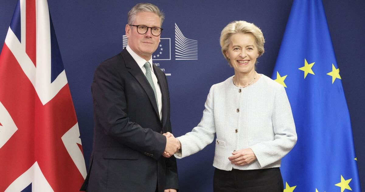 Starmer's Proposal to Rejoin EU Energy Market Sparks Brexit Betrayal Concerns