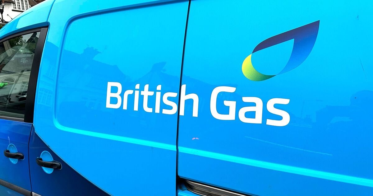 British Gas Urges Families to Leave Ovens Ajar for Safety After Cooking