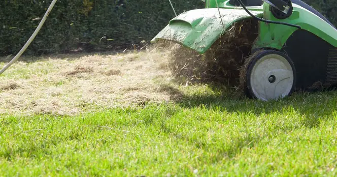 Brits Warned of Costly Lawn Care Mistake Ahead of Spring