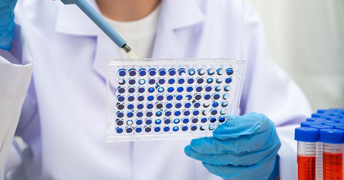 Cancer Dietitian Recommends Avoiding Processed Meats and Red Meat to Reduce Cancer Risk