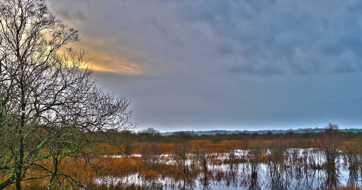 Tregaron: A Charming Market Town with Unique Shops and Scenic Landscapes