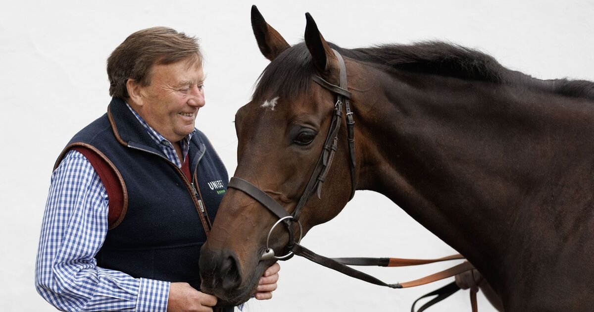 Constitution Hill Withdraws from Champion Hurdle at Cheltenham Festival