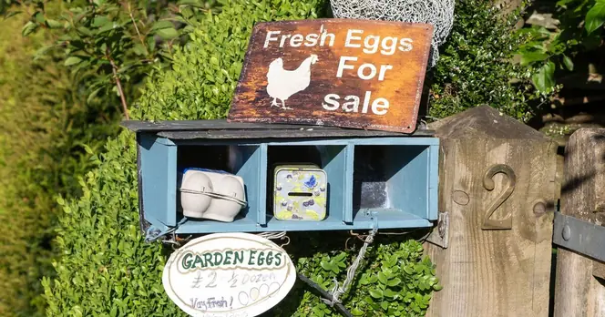 Bassetlaw Council Reverses Ban on Community Cake Sheds Amid Outcry