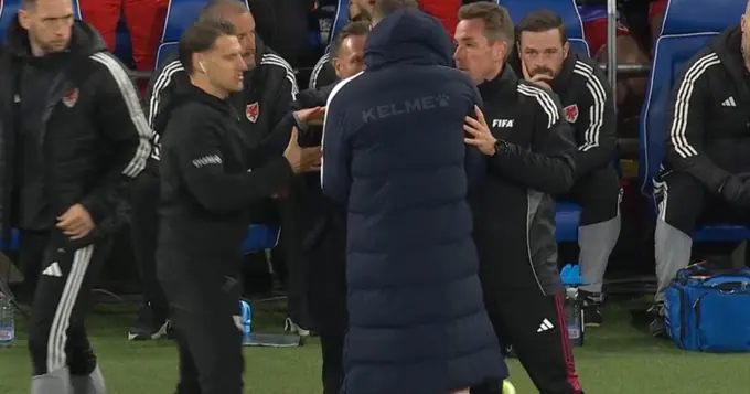 Bellamy and Dzeko Clash on Touchline During Critical World Cup Play-Off