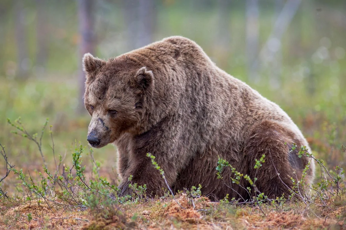 Crypto Companies Lay Off Hundreds Amid Market Challenges and AI Integration