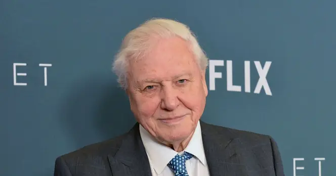 David Attenborough Reflects on Life and Mortality as He Turns 100