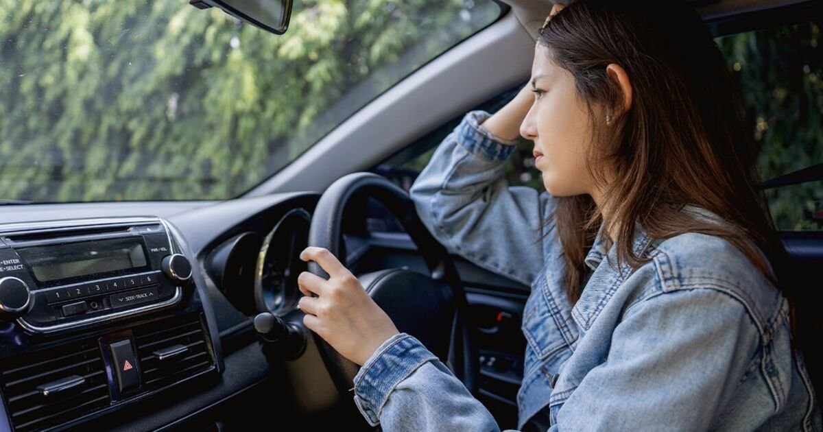 DfT Clarifies Drivers' Responsibilities Regarding Animal Accidents on UK Roads