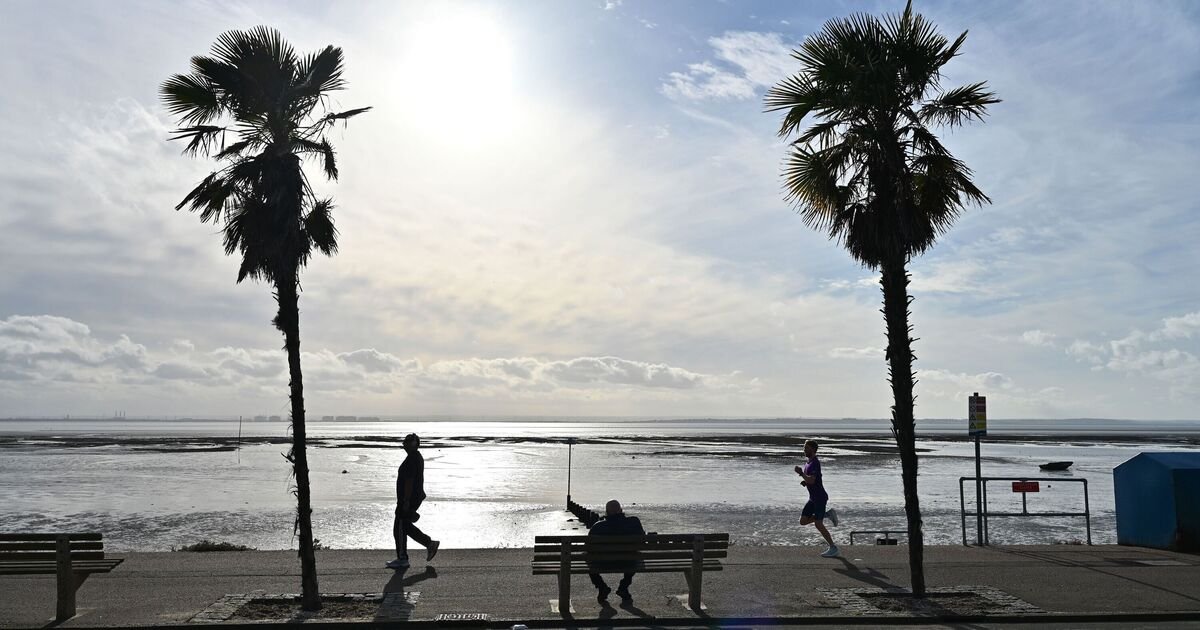 Dinosaur-Costumed Fly-Tipper Evades CCTV Efforts in Essex Seafront Incident