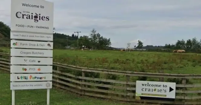 Disease Outbreak at Edinburgh Petting Farm Affects 16 Visitors