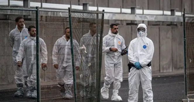 Dutch Hospital Staff Quarantined After Treating Hantavirus Patient Without PPE