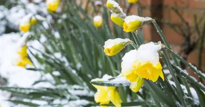 Snow Expected to Affect Ten UK Cities This Easter Sunday