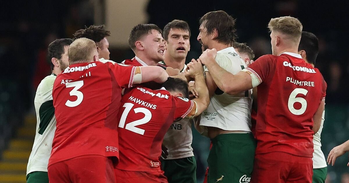 Eben Etzebeth Receives Lengthy Suspension for Eye-Gouging Incident Against Wales