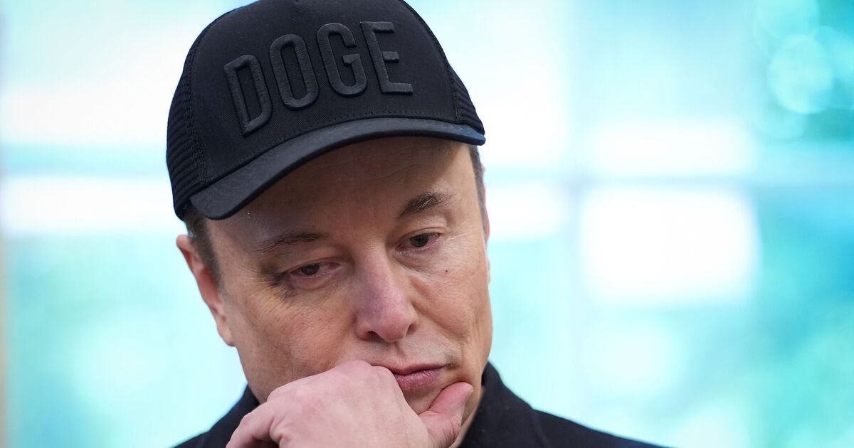 Elon Musk Mentioned in Epstein Files Linked to Billionaire Lunch Arrangements