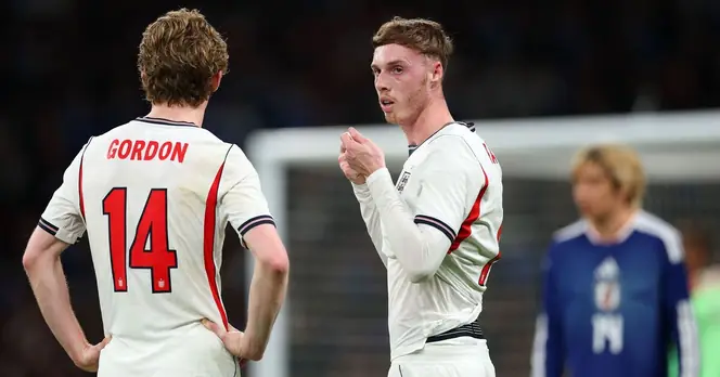 England's World Cup Squad in Flux After Japan Defeat, Palmer's Performance Questioned