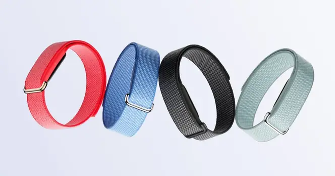 Google Launches Budget-Friendly Fitbit Air Fitness Tracker