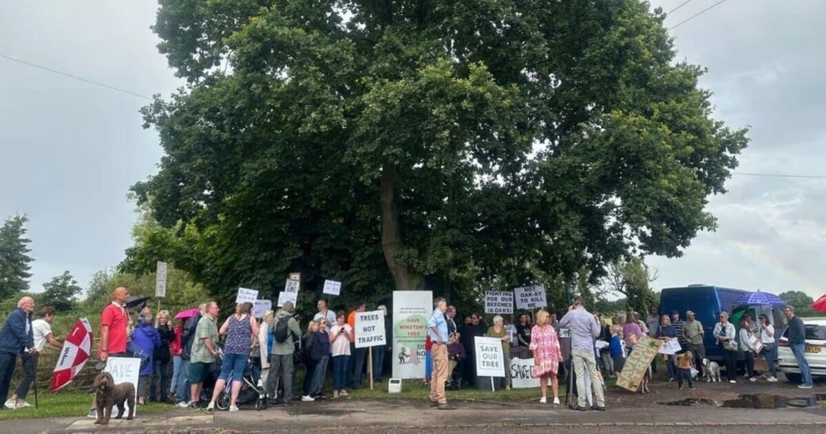 Community Outrage as Churchill Memorial Tree Cut Down in Cossington