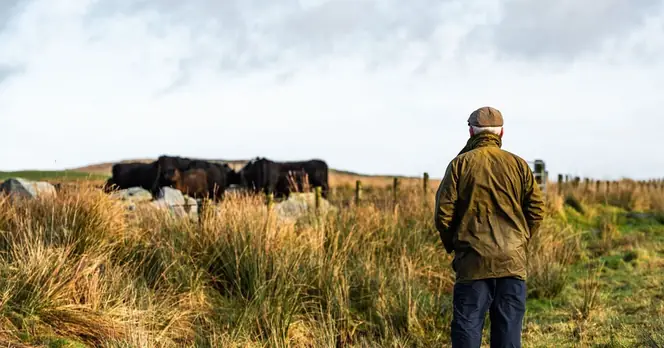 Labour's Regulation of Game Shooting Sparks Outrage in Rural Communities
