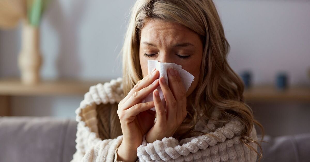 "How Honey Can Help Alleviate Cold Symptoms and Nighttime Coughs"