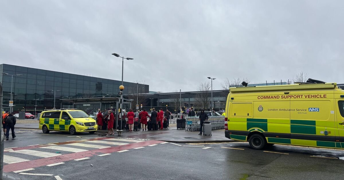 Three-year-old injured in pepper spray incident at Heathrow Airport