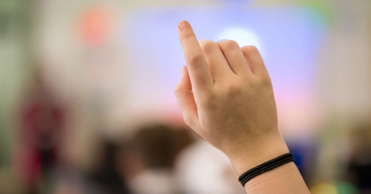 Grammar School Accepts Only One White British Student Amid Global Applications