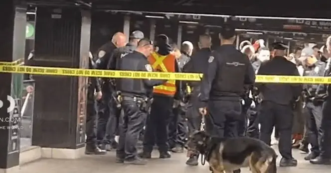 Police Respond to Machete Attack at Grand Central Station, Suspect Shot