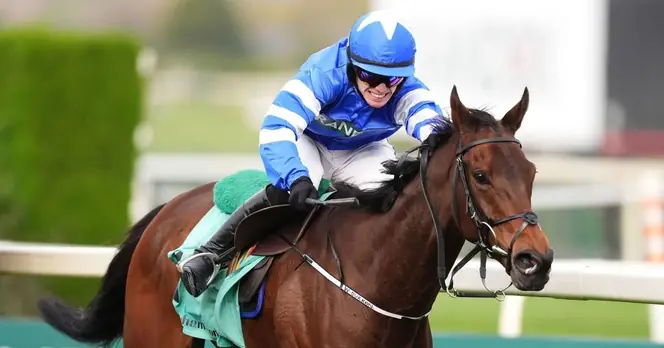 Laafi Disqualified from Grand National Victory for Whip Limit Violation