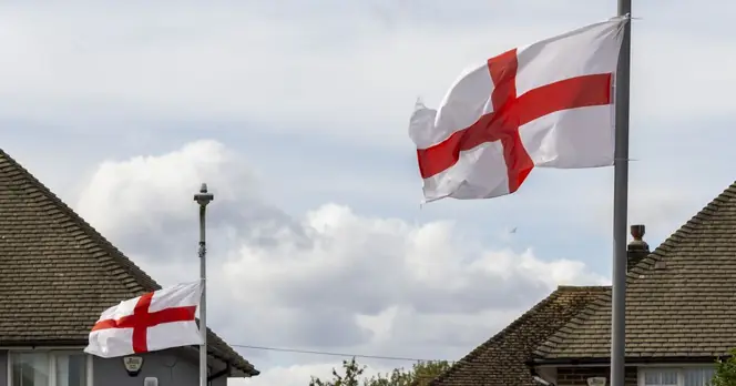 Green Party Activist Advocates for Removal of Flags from Lampposts Across County